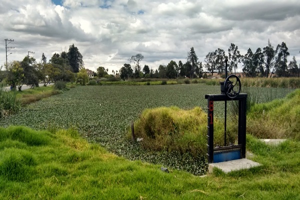 Humedal_Gualí