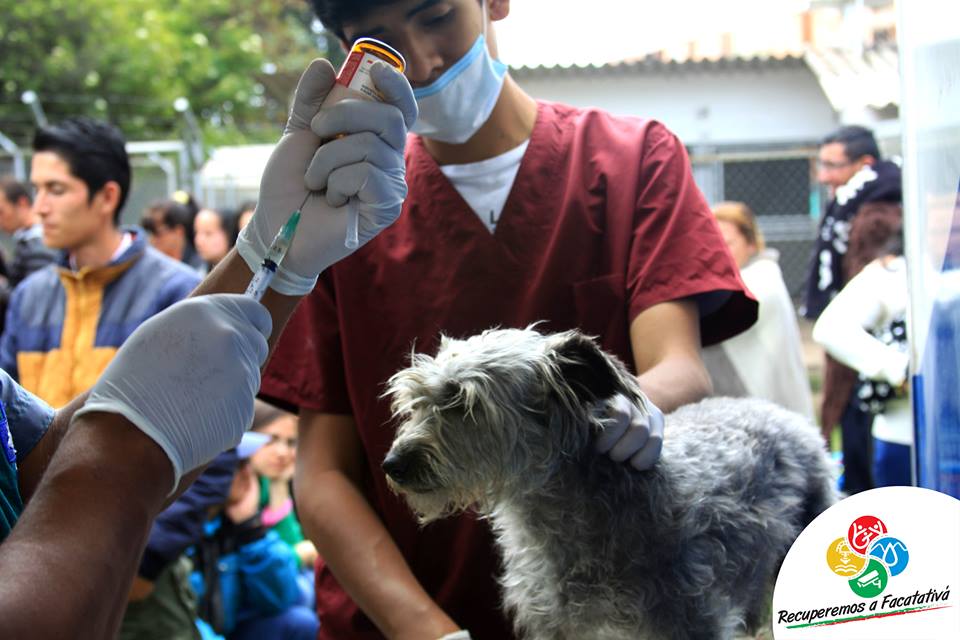 Las mascotas en Facatativá también cuentan