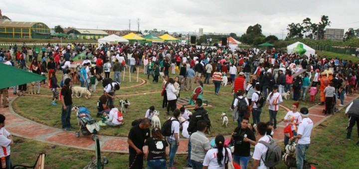 Mosquera adapta capacitaciones para mejoras en la tenencia de mascotas