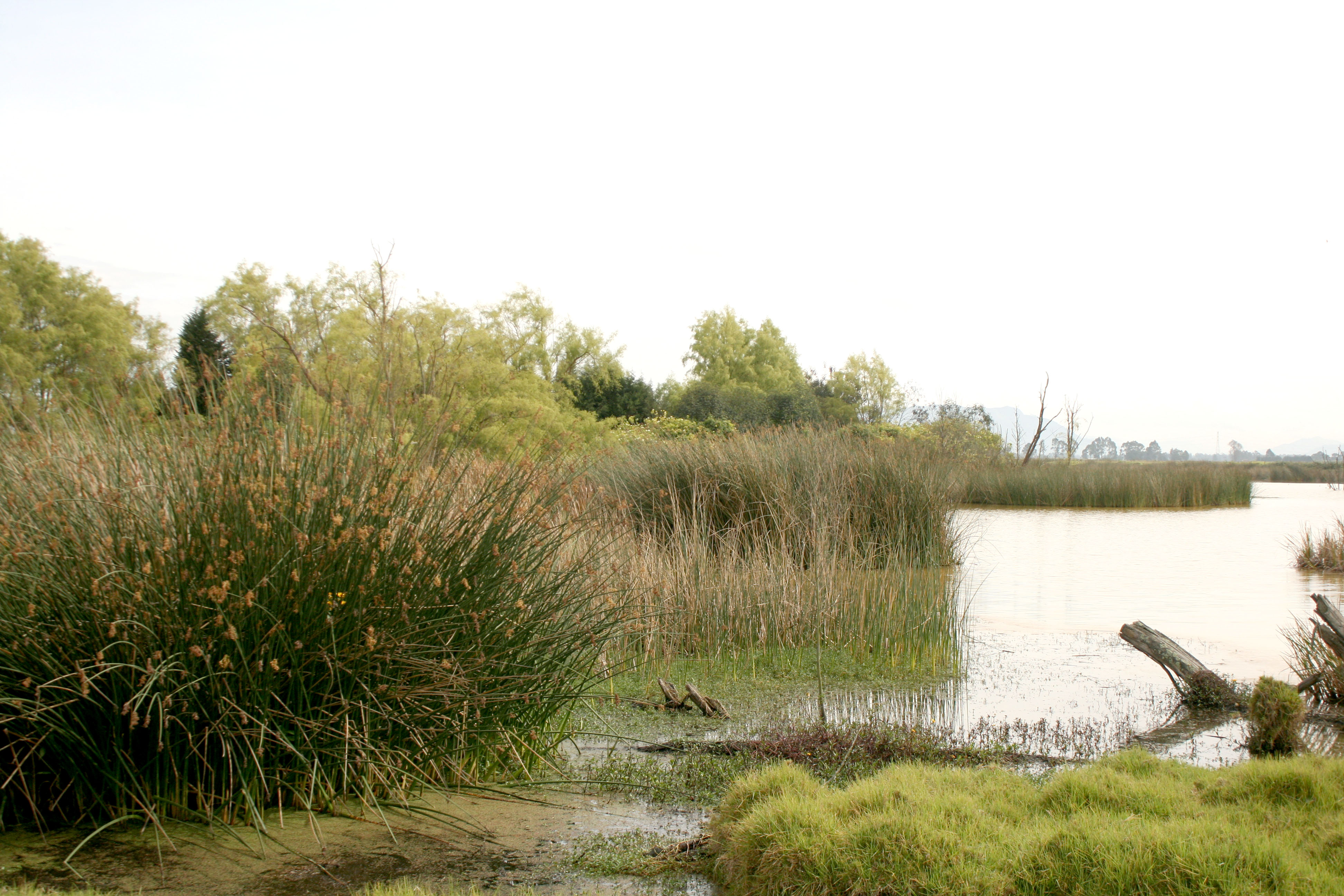 Punto informativo – Quejas ambientales