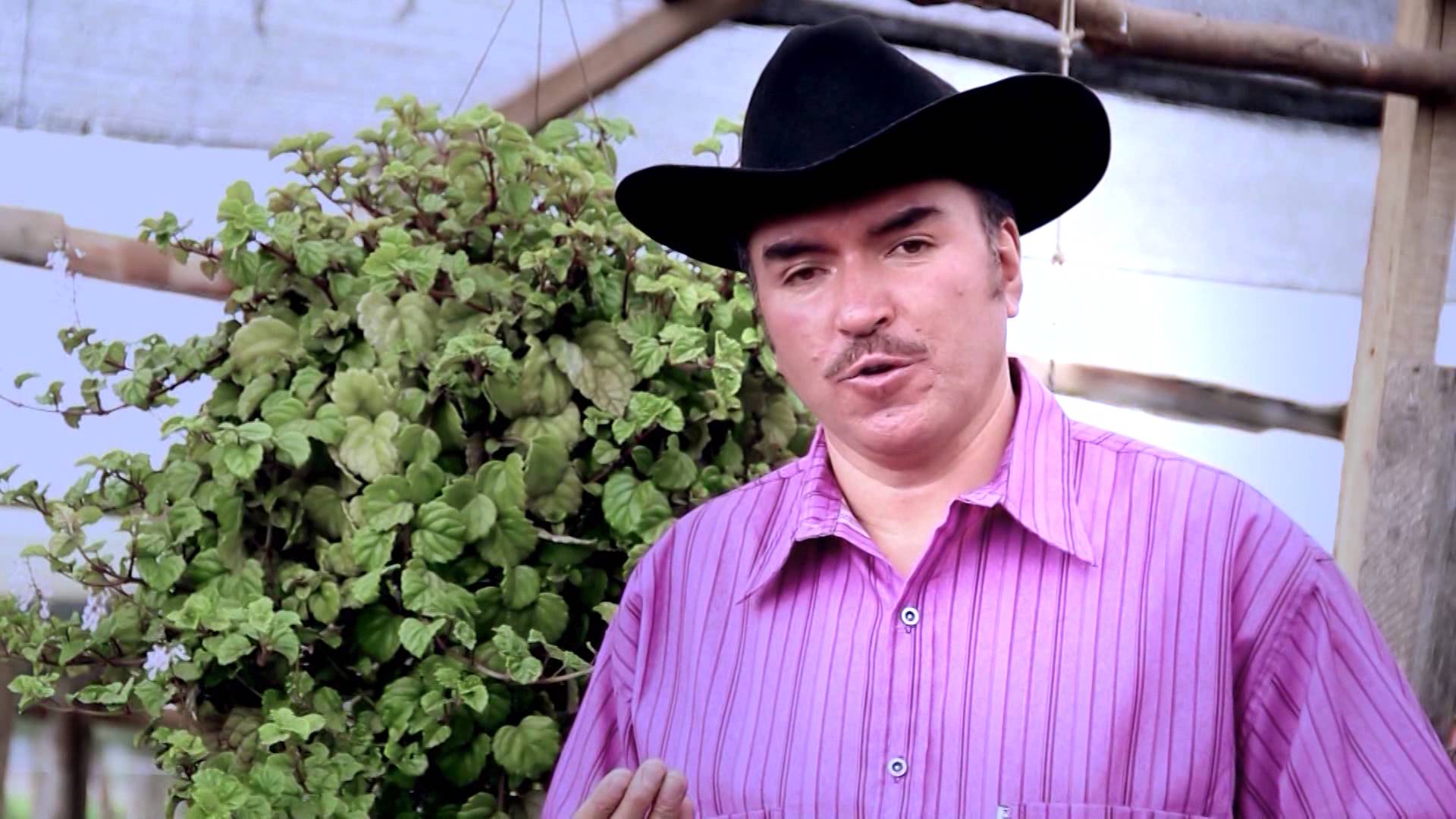 Martin de la Sierra presenta su nuevo éxito