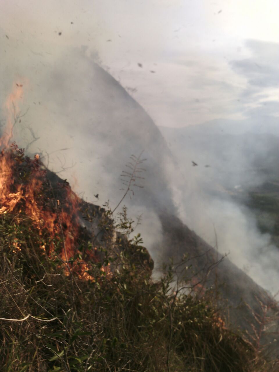Continua emergencia en Tocaima