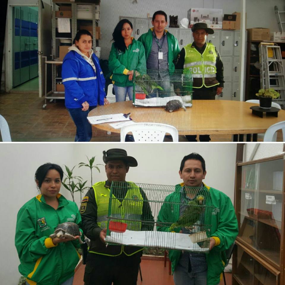 Mosquera comprometida con la protección de especies silvestres