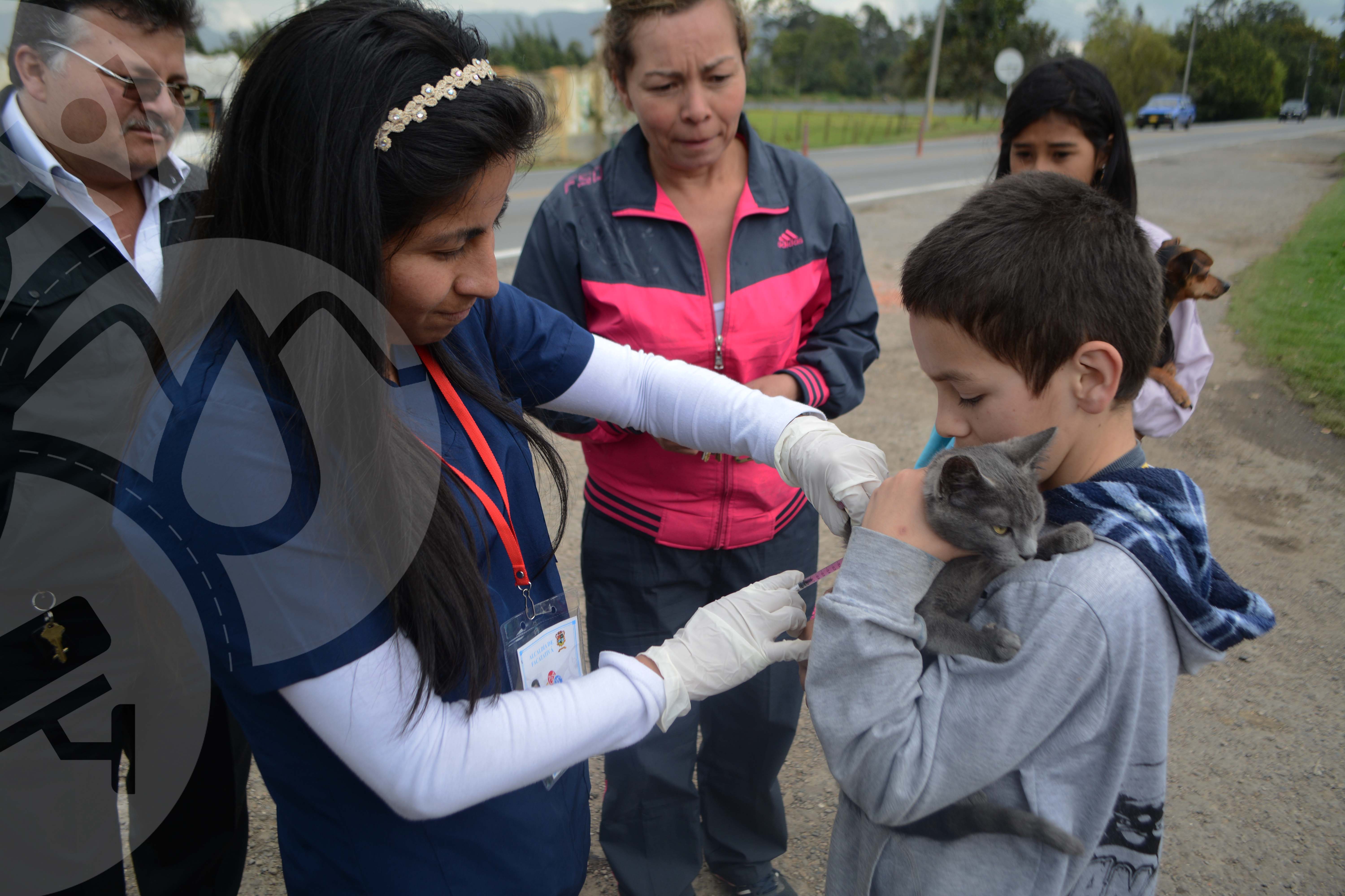 Continúa vacunación Felina y Canina en el sector Rural