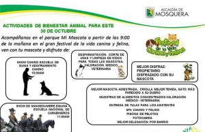 Actividad hoy en Mosquera