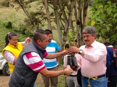 Cundinamarca más verde