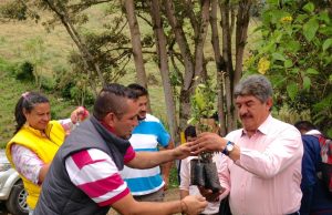 Cundinamarca más verde