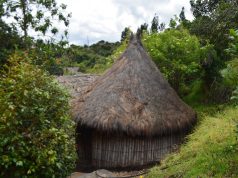 Alcalde de Cota evita desalojo de comunidad Muisca