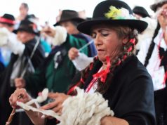 Cucunubá se viste de lana