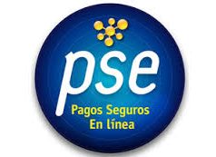 Ahora en Cundinamarca, pague su Impuesto sobre Vehículos con el botón PSE