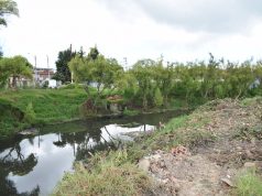 10 mil metros cuadrados de buchón fueron retirados del Río Subachoque en Madrid