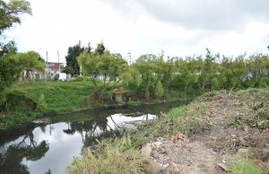 10 mil metros cuadrados de buchón fueron retirados del Río Subachoque en Madrid