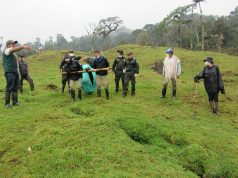 $15 millones de recompensa por autores del asesinato del oso andino en el páramo de Chingaza