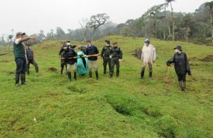 $15 millones de recompensa por autores del asesinato del oso andino en el páramo de Chingaza