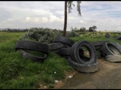 Mosquera continúa la tarea por la protección del medio ambiente