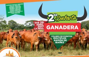 Ganaderos del centro del país se darán cita en La Mesa – Cundinamarca