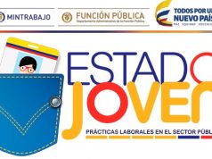 Jóvenes podrán hacer sus prácticas laborales en el sector público