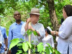 Nuevos bosques de paz en el Cesar