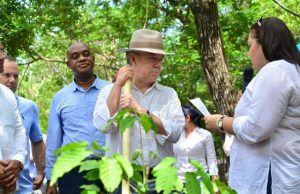 Nuevos bosques de paz en el Cesar