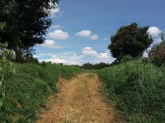 Funza conmemora día mundial del medio ambiente