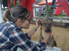 Facatativá ratifica su compromiso de proteger a los animales