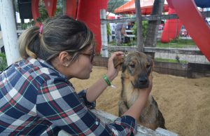 Facatativá ratifica su compromiso de proteger a los animales