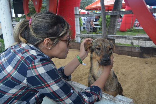 Facatativá ratifica su compromiso de proteger a los animales