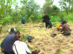 Día mundial del suelo y tierra fértil