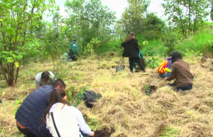 Día mundial del suelo y tierra fértil
