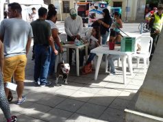 Censo a perros de razas potencialmente peligrosas