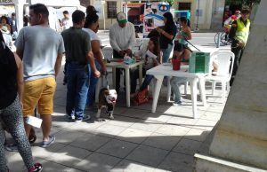 Censo a perros de razas potencialmente peligrosas