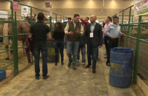 El precandidato presidencial que superó las expectativas en Agroexpo