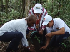 Continua proyecto Bosques de paz