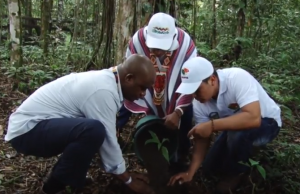 Continua proyecto Bosques de paz