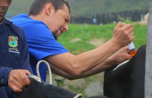 Jornadas de salud animal en zonas rurales de Facatativá