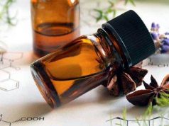 Intercambio académico en Barcelona