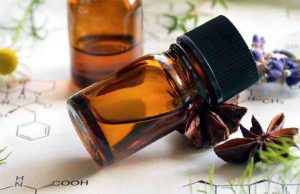 Intercambio académico en Barcelona