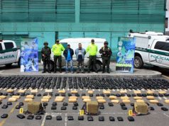 Policía de Cundinamarca incauta alucinógenos avaluados en más de $250 millones