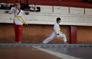 Funza sede de la final departamental de Taekwondo
