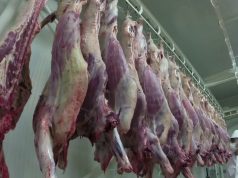 Invima le pone el ojo a mataderos ilegales