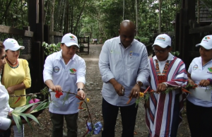 Minambiente expide prorroga para áreas protegidas