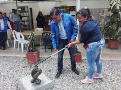 Hallado ejemplar de Boa Constrictor en parqueadero de Funza