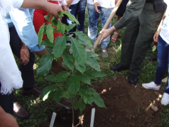 Llamado del papa Francisco a los colombianos al cuidado ambiental