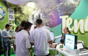 Razones para visitar el municipio de Tena Cundinamarca