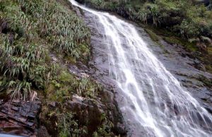 Cundinamarca a sembrar agua