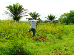 Colombia restauró 190 mil hectáreas de ecosistemas naturales