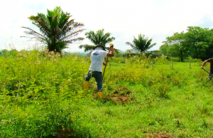 Colombia restauró 190 mil hectáreas de ecosistemas naturales