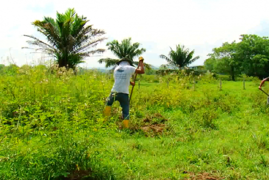 Colombia restauró 190 mil hectáreas de ecosistemas naturales