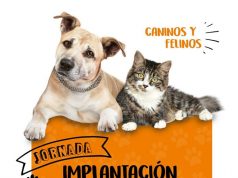 Alcaldía de Cota impulsa el bienestar animal