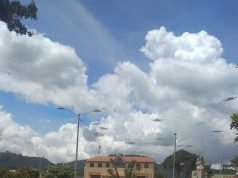 Chía se prepara para la navidad